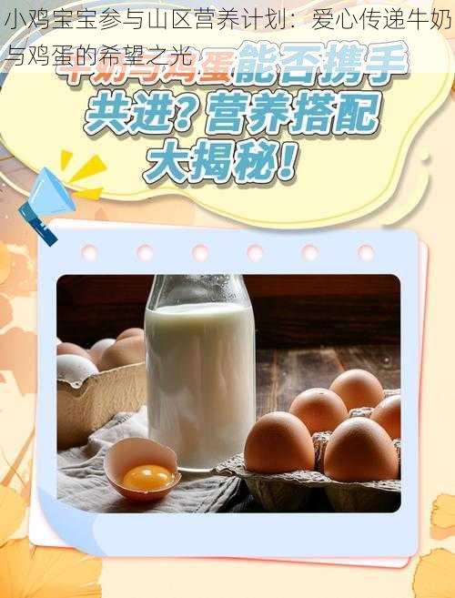 小鸡宝宝参与山区营养计划:爱心传递牛奶与鸡蛋的希望之光