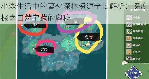 小森生活中的暮夕深林资源全景解析:深度探索自然宝藏的奥秘