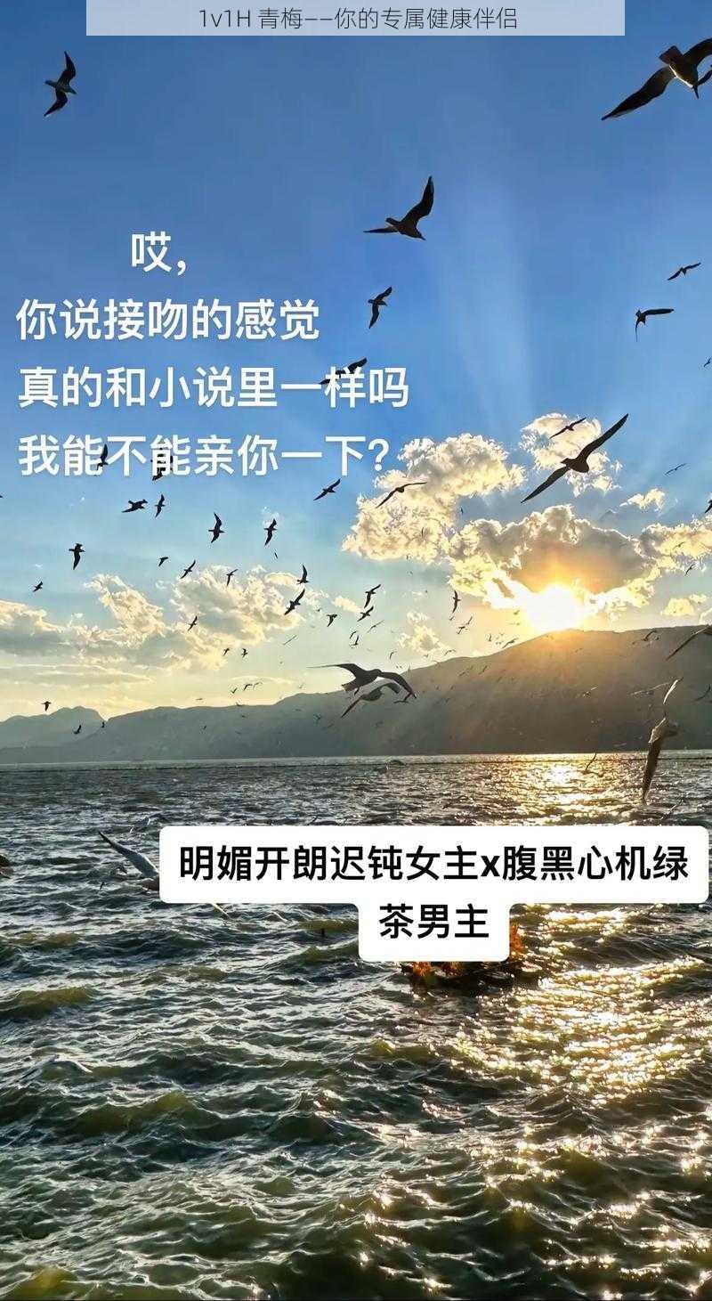 1v1H 青梅——你的专属健康伴侣