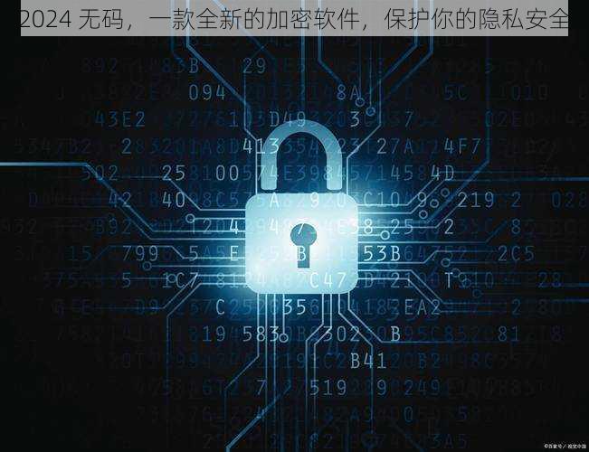 2024 无码,一款全新的加密软件,保护你的隐私安全