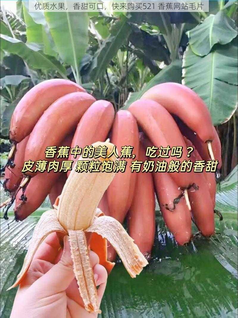 优质水果,香甜可口,快来购买521 香蕉网站毛片