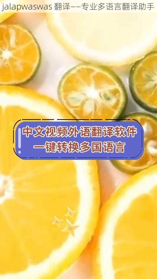 jalapwaswas 翻译——专业多语言翻译助手
