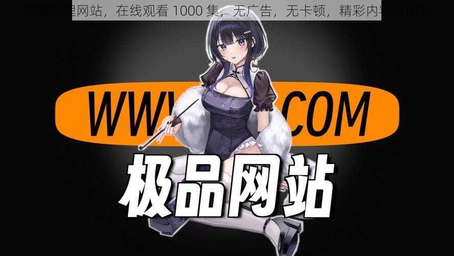 哔哩哔哩网站,在线观看 1000 集,无广告,无卡顿,精彩内容不间断