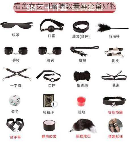 宿舍女女闺蜜调教羞辱必备好物