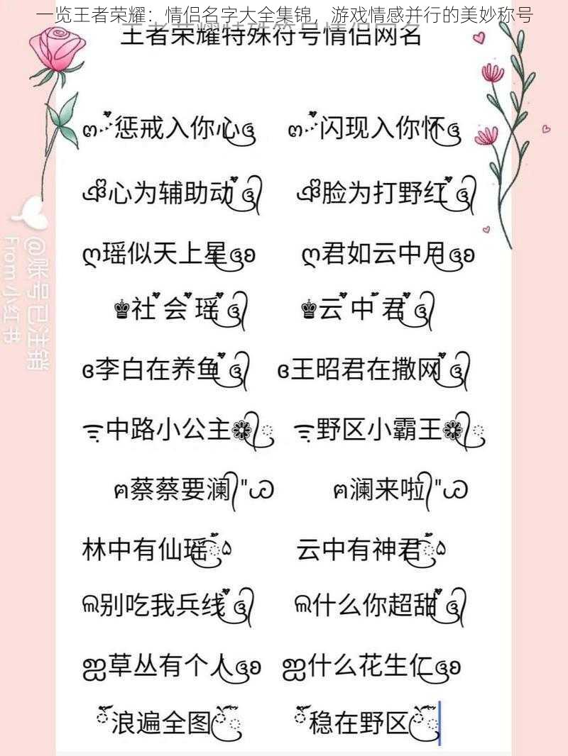 一览王者荣耀:情侣名字大全集锦,游戏情感并行的美妙称号