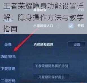 王者荣耀隐身功能设置详解:隐身操作方法与教学指南