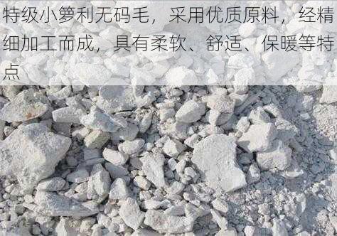特级小箩利无码毛,采用优质原料,经精细加工而成,具有柔软、舒适、保暖等特点