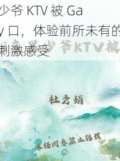 少爷 KTV 被 Gay 口,体验前所未有的刺激感受
