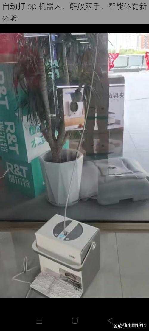 自动打 pp 机器人,解放双手,智能体罚新体验