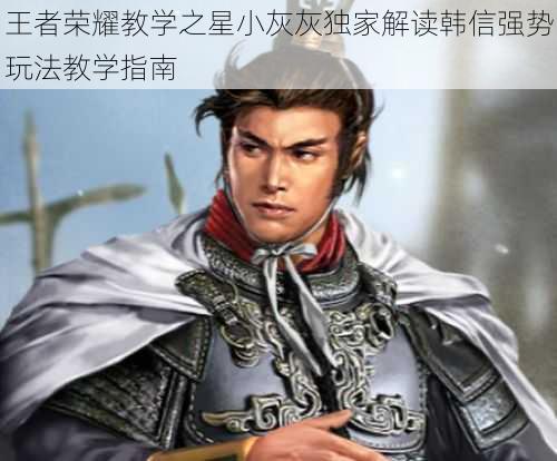 王者荣耀教学之星小灰灰独家解读韩信强势玩法教学指南
