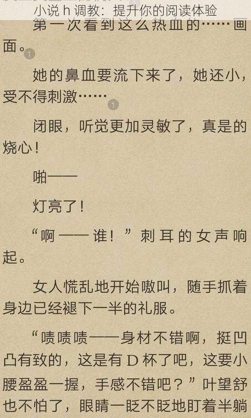 小说 h 调教:提升你的阅读体验