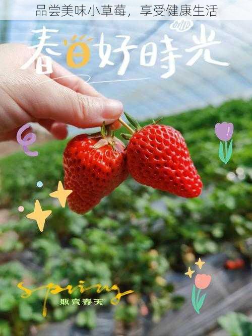 品尝美味小草莓,享受健康生活
