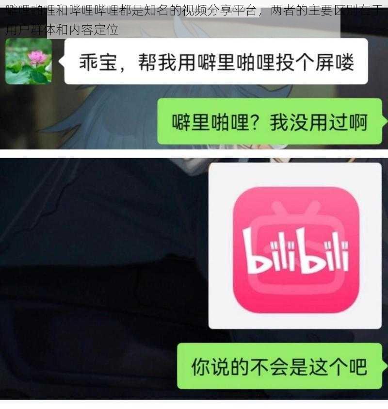 噼哩啪哩和哔哩哔哩都是知名的视频分享平台,两者的主要区别在于用户群体和内容定位