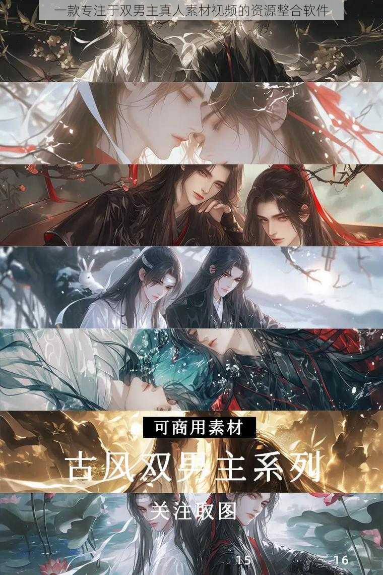 一款专注于双男主真人素材视频的资源整合软件