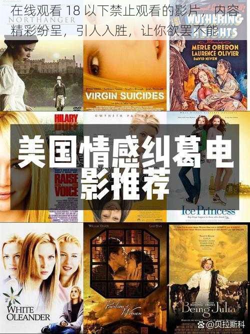 在线观看 18 以下禁止观看的影片,内容精彩纷呈,引人入胜,让你欲罢不能