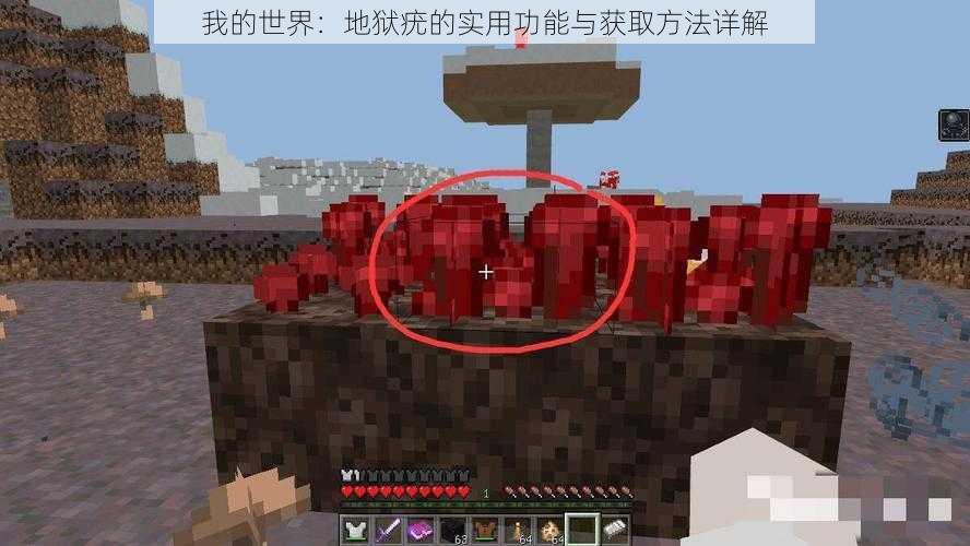 我的世界:地狱疣的实用功能与获取方法详解