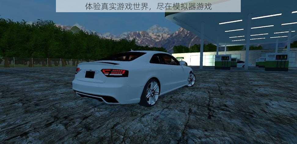 体验真实游戏世界,尽在模拟器游戏