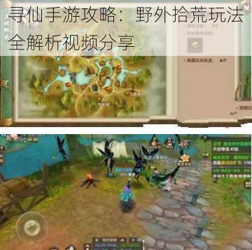 寻仙手游攻略:野外拾荒玩法全解析视频分享