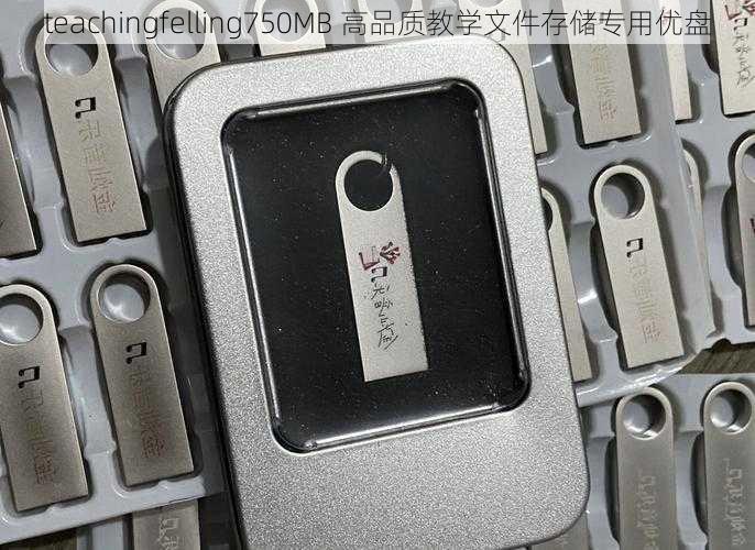 teachingfelling750MB 高品质教学文件存储专用优盘