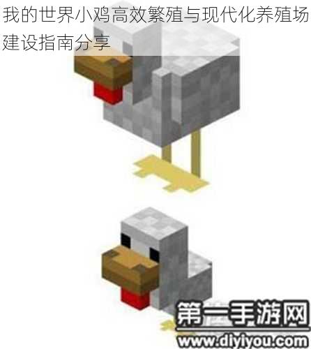我的世界小鸡高效繁殖与现代化养殖场建设指南分享