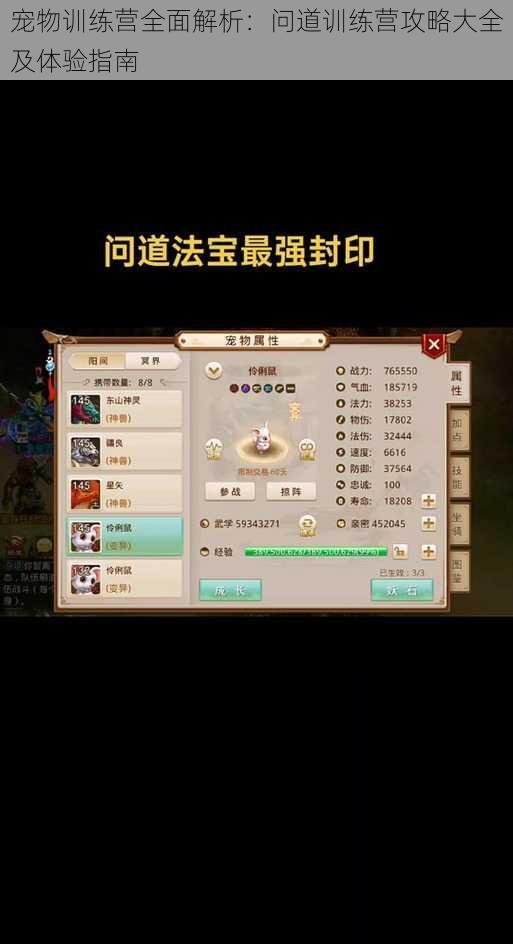 宠物训练营全面解析:问道训练营攻略大全及体验指南