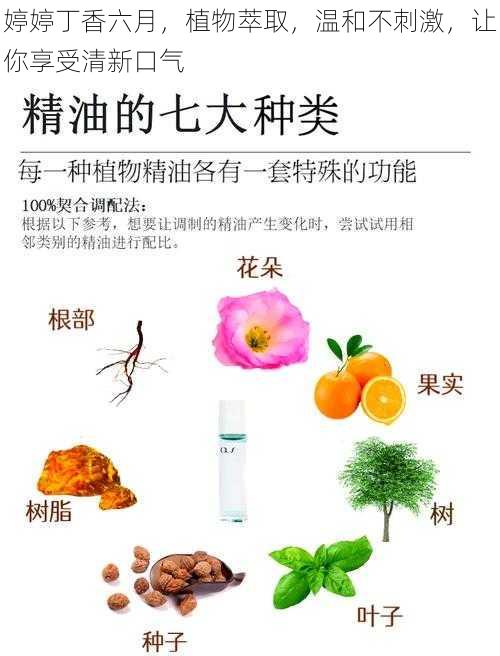 婷婷丁香六月,植物萃取,温和不刺激,让你享受清新口气