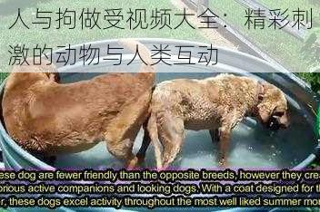 人与拘做受视频大全:精彩刺激的动物与人类互动