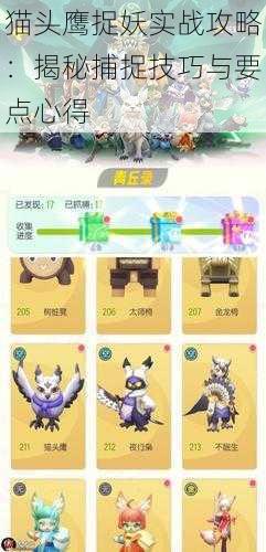 猫头鹰捉妖实战攻略:揭秘捕捉技巧与要点心得