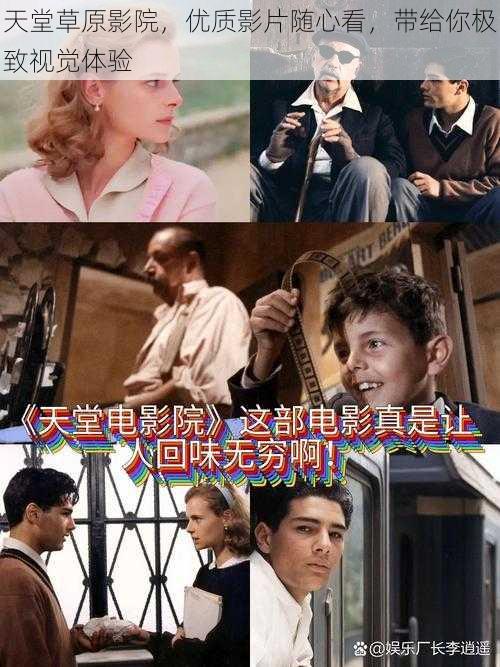天堂草原影院,优质影片随心看,带给你极致视觉体验