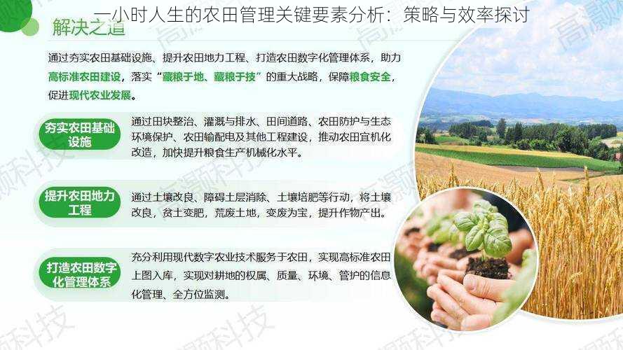 一小时人生的农田管理关键要素分析:策略与效率探讨