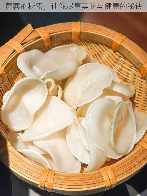 黄蓉的秘密,让你尽享美味与健康的秘诀