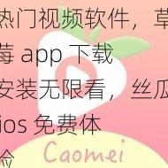 热门视频软件,草莓 app 下载安装无限看,丝瓜 ios 免费体验