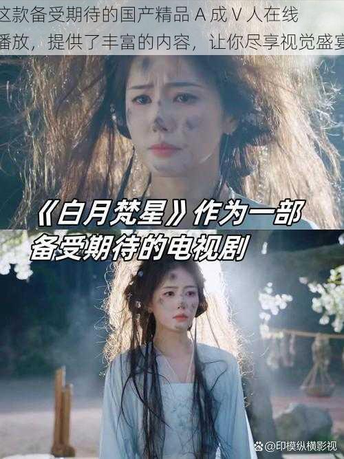 这款备受期待的国产精品 A 成 V 人在线播放,提供了丰富的内容,让你尽享视觉盛宴