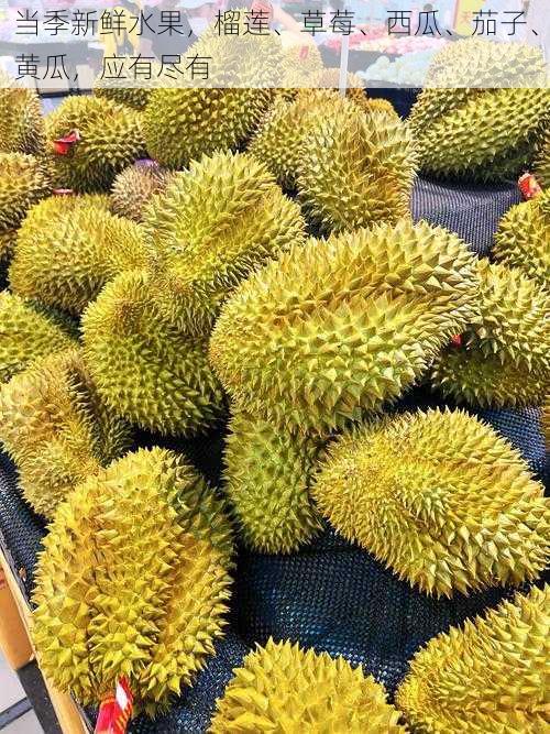 当季新鲜水果,榴莲、草莓、西瓜、茄子、黄瓜,应有尽有