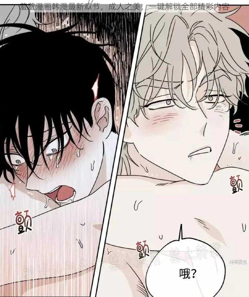 羞羞漫画韩漫最新章节,成人之美,一键解锁全部精彩内容