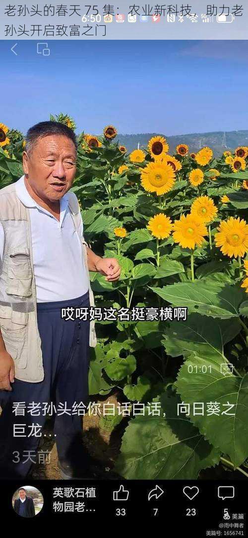 老孙头的春天 75 集:农业新科技,助力老孙头开启致富之门
