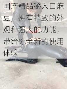 国产精品秘入口麻豆,拥有精致的外观和强大的功能,带给你全新的使用体验