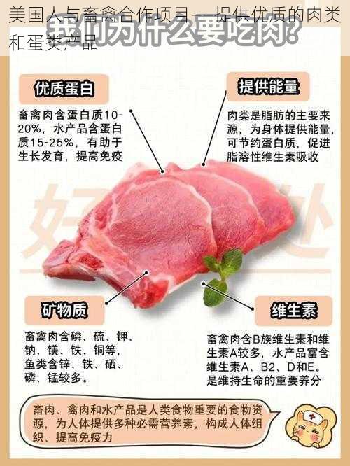 美国人与畜禽合作项目——提供优质的肉类和蛋类产品