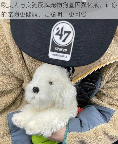 欧美人与交狗配牌宠物狗基因强化液,让你的宠物更健康、更聪明、更可爱