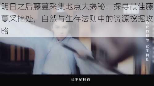 明日之后藤蔓采集地点大揭秘:探寻最佳藤蔓采摘处,自然与生存法则中的资源挖掘攻略