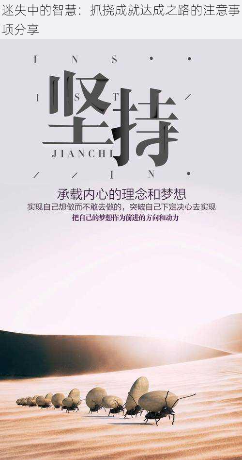 迷失中的智慧:抓挠成就达成之路的注意事项分享