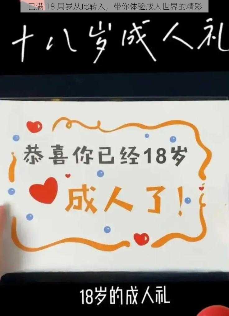 已满 18 周岁从此转入,带你体验成人世界的精彩