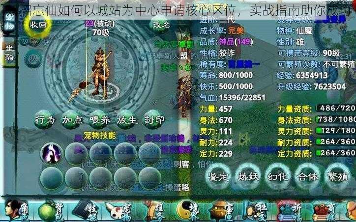 妙招忘仙如何以城站为中心申请核心区位,实战指南助你成功