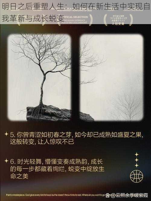 明日之后重塑人生:如何在新生活中实现自我革新与成长蜕变
