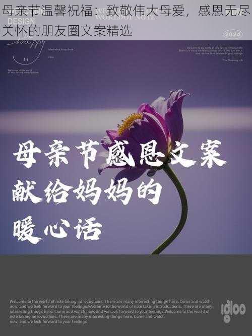 母亲节温馨祝福:致敬伟大母爱,感恩无尽关怀的朋友圈文案精选
