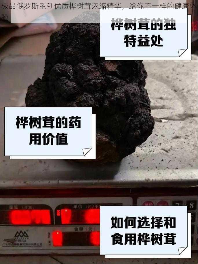 极品俄罗斯系列优质桦树茸浓缩精华,给你不一样的健康体验