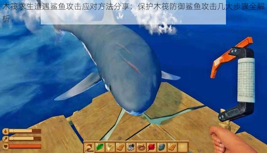 木筏求生遭遇鲨鱼攻击应对方法分享:保护木筏防御鲨鱼攻击几大步骤全解析