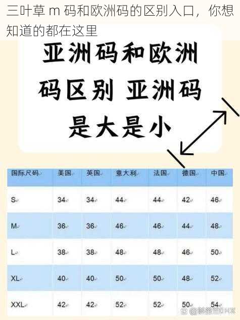 三叶草 m 码和欧洲码的区别入口,你想知道的都在这里