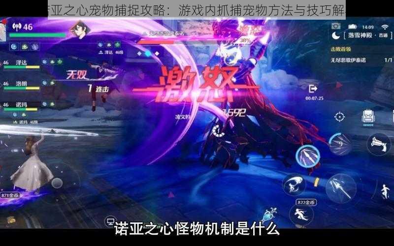 诺亚之心宠物捕捉攻略:游戏内抓捕宠物方法与技巧解析