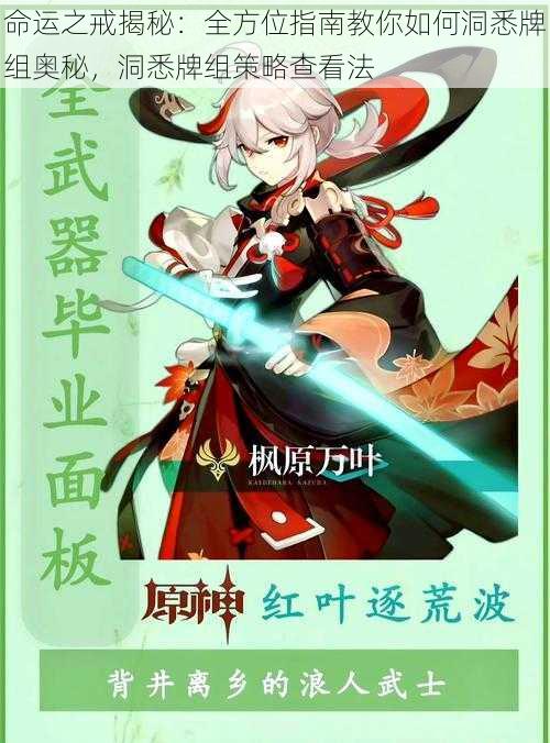 命运之戒揭秘:全方位指南教你如何洞悉牌组奥秘,洞悉牌组策略查看法